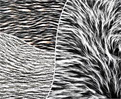 Mongolian 2 Tone Faux Fur Fabrics