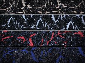 Sequin Fabrics