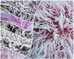 Frosted Faux Fur Fabrics
