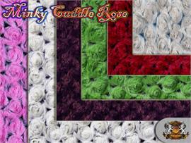 2 Tone Ultra Minky Cuddle Rose Fabrics
